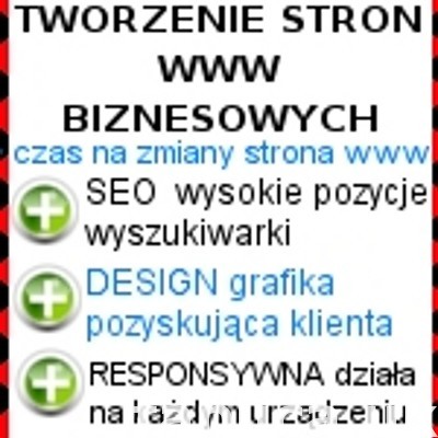 Wykonanie strony internetowej biznesowej. Tworzenie sklepów.