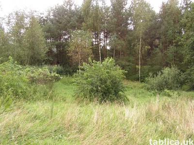 Mazury atrakcyjna działka na mazurach