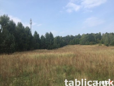 Building plot, Poland, Złoty Potok, Janów commune, area 7623