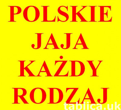 Jaja kurze jajka. Każdy rodzaj. Każda ilość. EKO też.