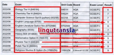 Skuteczne Korepetycje Online i Digital Marketing po angielsk