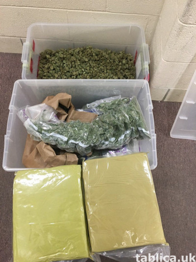 Tramadol..heroin..lsd. oxcodine.. ketamin liquid marijuana