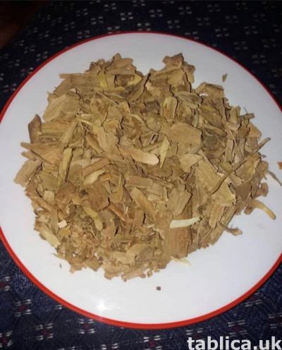 Tabernanthe iboga, iboga, to gatunek roślin dwuliściennych z