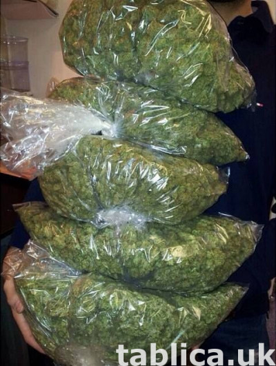 marijuana seeds cocaine Tramadol whatsapp +48795260549