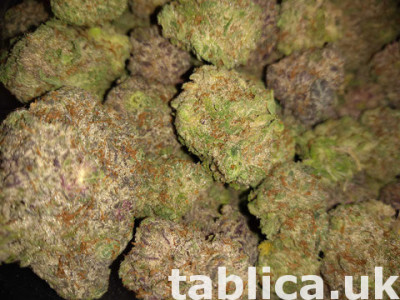 marijuana for cancer whatsapp +48795260549