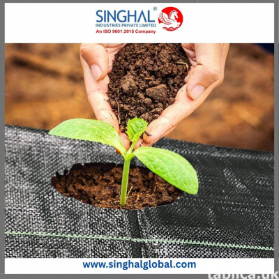 Durable Weed Mat for Effective Garden Protection