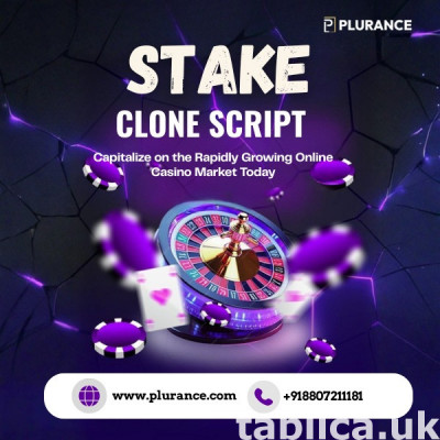 Launch Your Own Stake Clone and Tap into the Crypto Casino 