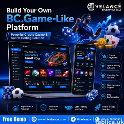 Budget-Friendly BC.Game Clone Solution - ROI Guaranteed