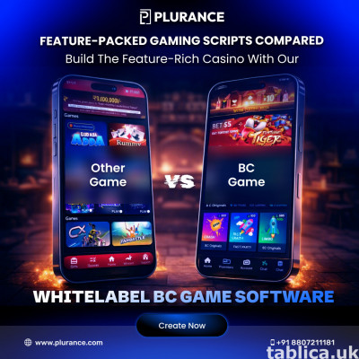 Take Your Gaming Business Online with a BC Game Clone Script