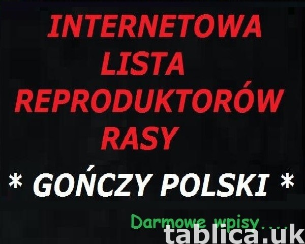 lista REPRODUKTORÓW rasy GOŃCZY POLSKI - darmowe wpisy 0