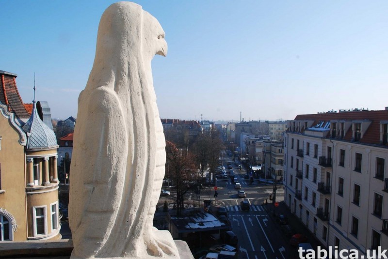 Atrakcyjne apartamenty w zabytkowej kamienicy w Poznaniu 1