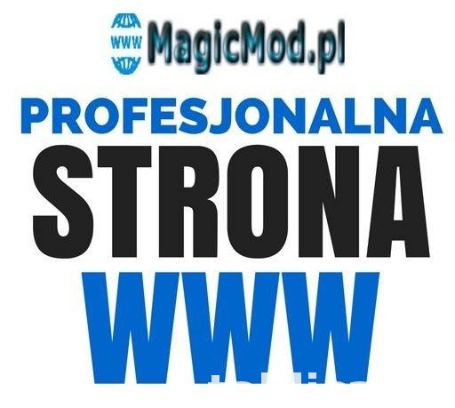 Strona Internetowa-Tworzenie Stron-Profesjonalna Strona WWW- 0