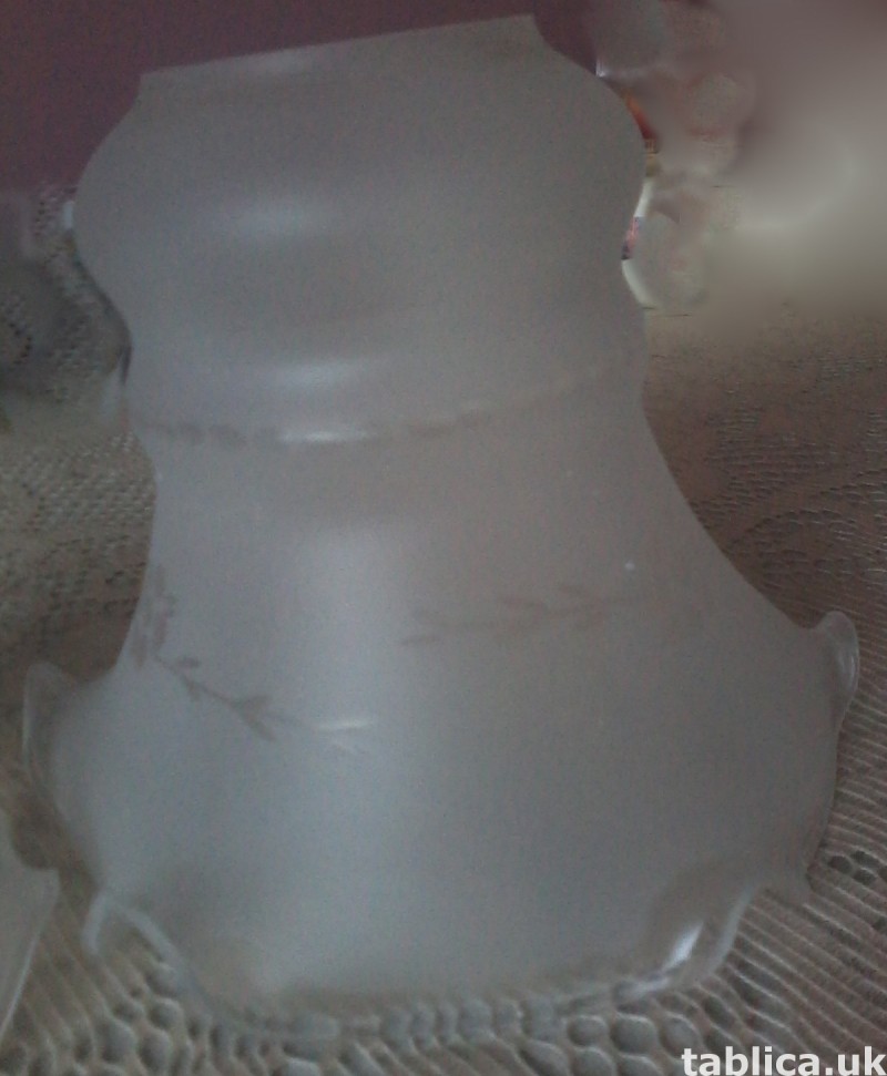 For Sale: 2 Glass Lampshades 6