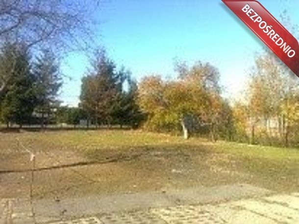 Import Aut, maszyn, traktorów 4
