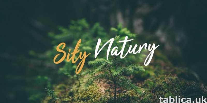Praca z Olejkami eterycznymi SIŁY NATURY 1
