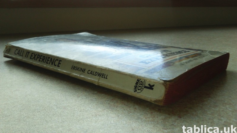 For Sale: Call It Experience - Erskine Caldwell 3