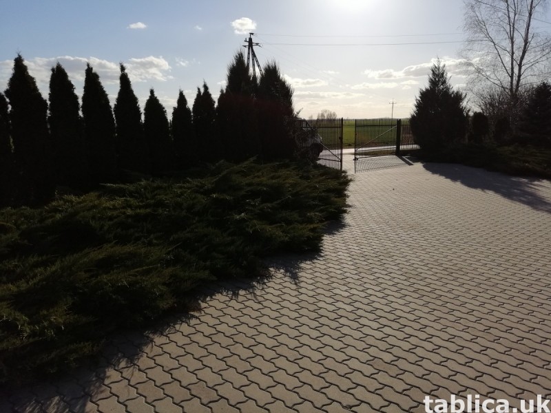 Nieruchomość idealna pod działalność produkcyjną, magazynową 5