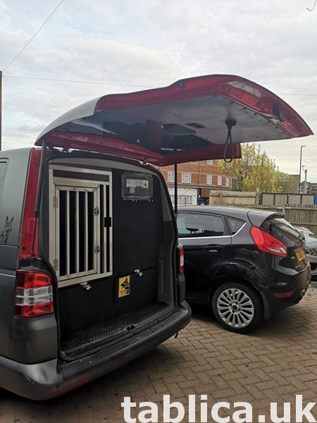 VW shutlle 13