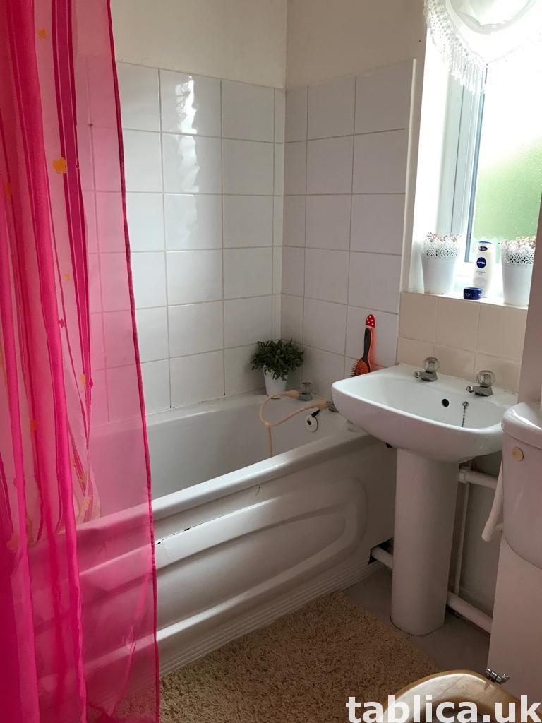 Bloczek do wynajęcia 1 bedroom 3