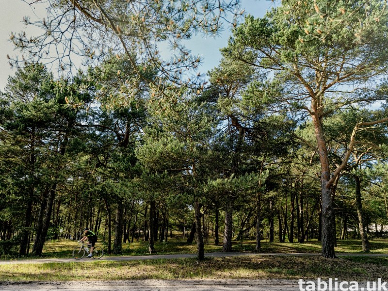 Piękna działka budowlana w sypialni Kołobrzegu 4