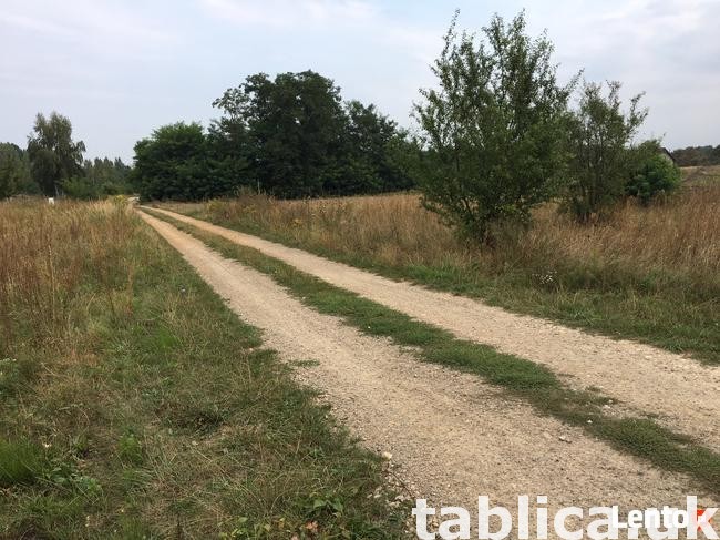 Działka budowlana Złoty Potok gmina Janów pow.7623m2 1