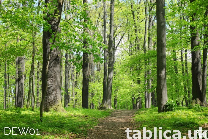 Photowall, wallcover, fototapety na wymiar. Custom size. 10