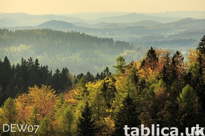 Photowall, wallcover, fototapety na wymiar. Custom size. 12