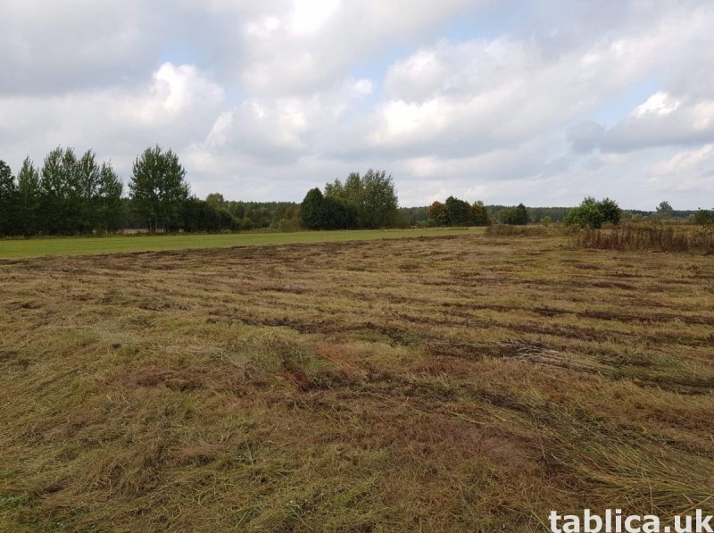 Mazury- Cztery dzialki z warunkami zabudowy. 2