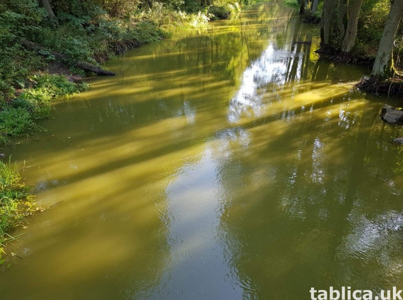 Mazury- Cztery dzialki z warunkami zabudowy. 5