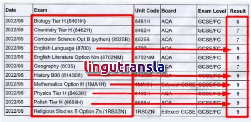 Skuteczne Korepetycje Online i Digital Marketing po angielsk 0