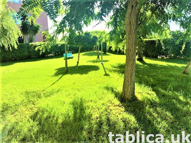 Hiszpania, Costa Blanca-apartament do wynajęcia na wakacje. 22