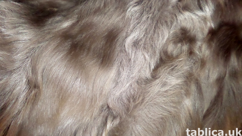 For Sale: Long Astrakhan Goat Fur 3