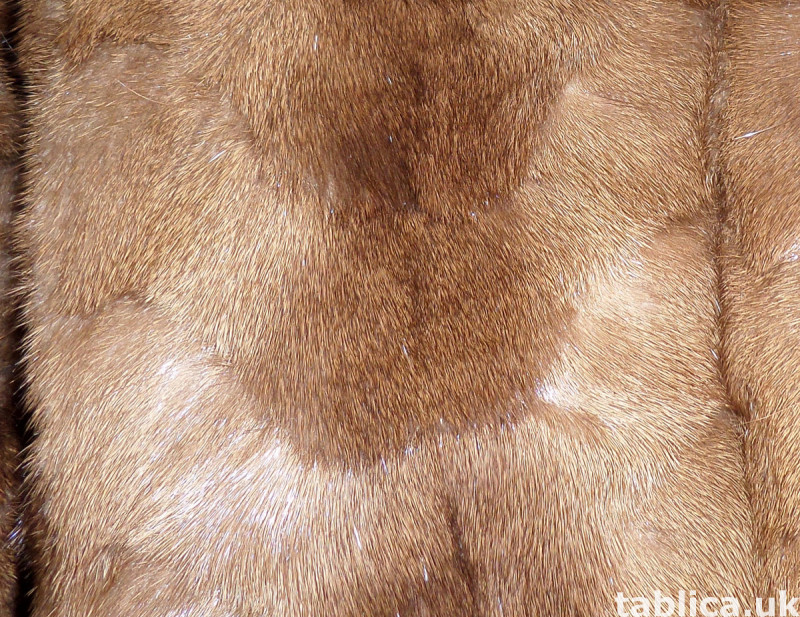For Sale: Long Fur Coat from Mink Bellies 3