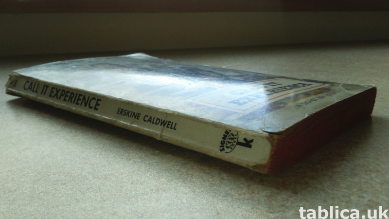 Call It Experience - Erskine Caldwell 3