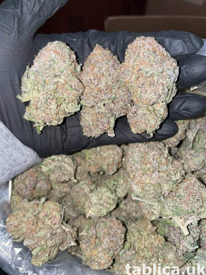 Medical marijuana.pains meds 4