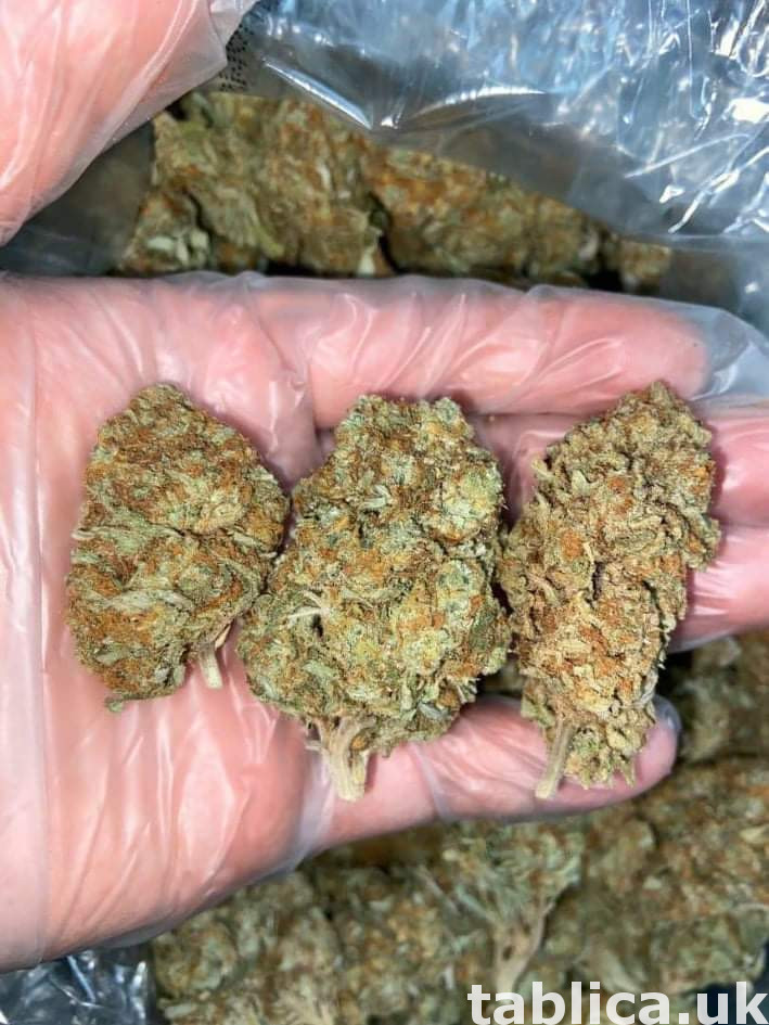 - 60 zł.. oxcodine.. ketamin liquid marijuana 4