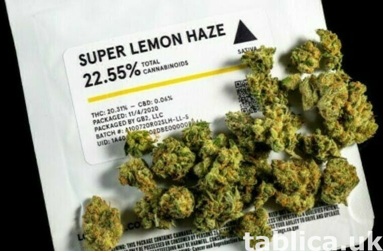LSD.. CBD... marijuana.. oxcodine 0