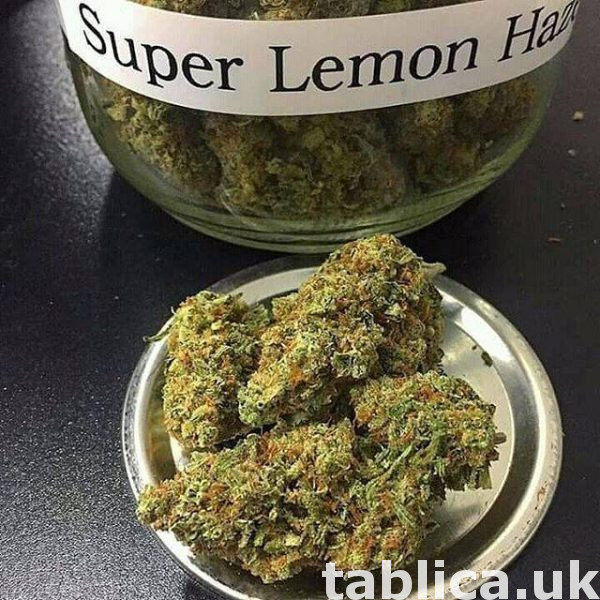 LSD.. CBD... marijuana.. oxcodine 1