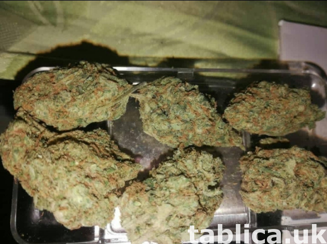 coke,pills,bud,green,gear,shard,ket,cold MDMA DEXIES COLD CR 0