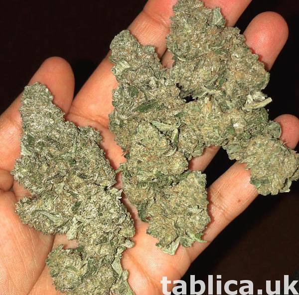buy original adder-all marijuana whatsapp +48795260549 0