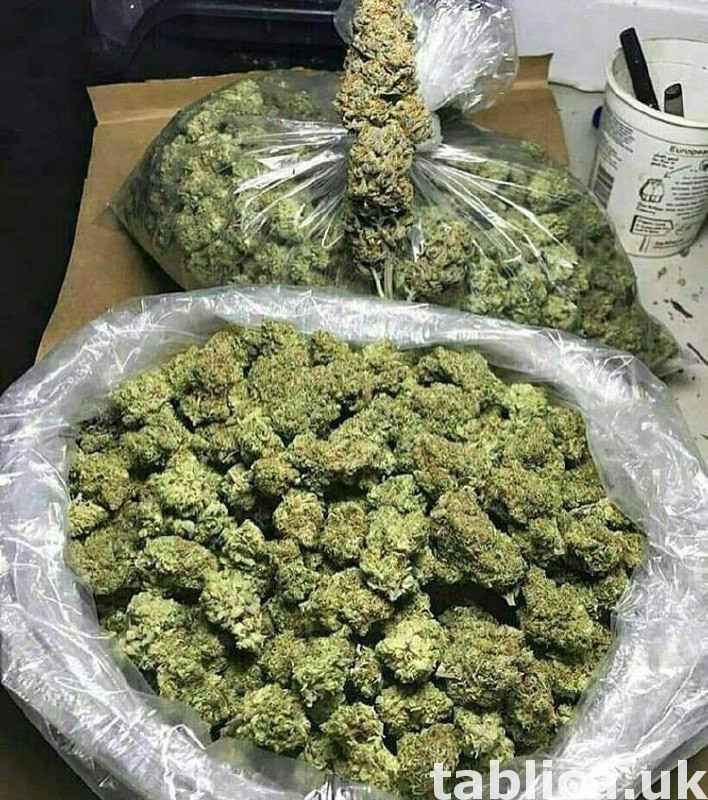 Medical marijuana coka Top 1