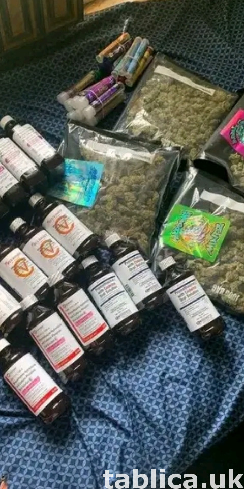Marijuana Cocaine LSD tramadol Phetamen DMT adipex maridia 0