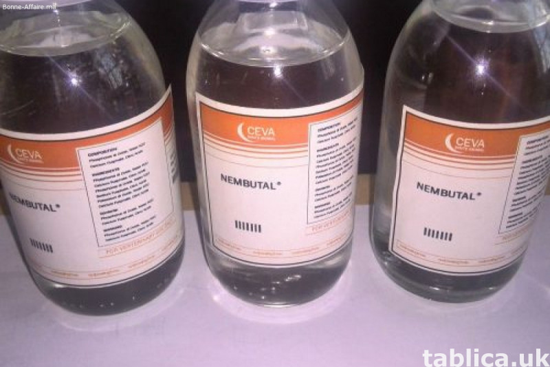 Kup nembutal pentobarbital, kapsułki, proszek i tabletki 0