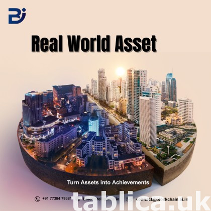Best Real World Asset Development Service Block Intelligence 0