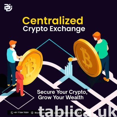 Best Centralized Crypto Exchange development company 0