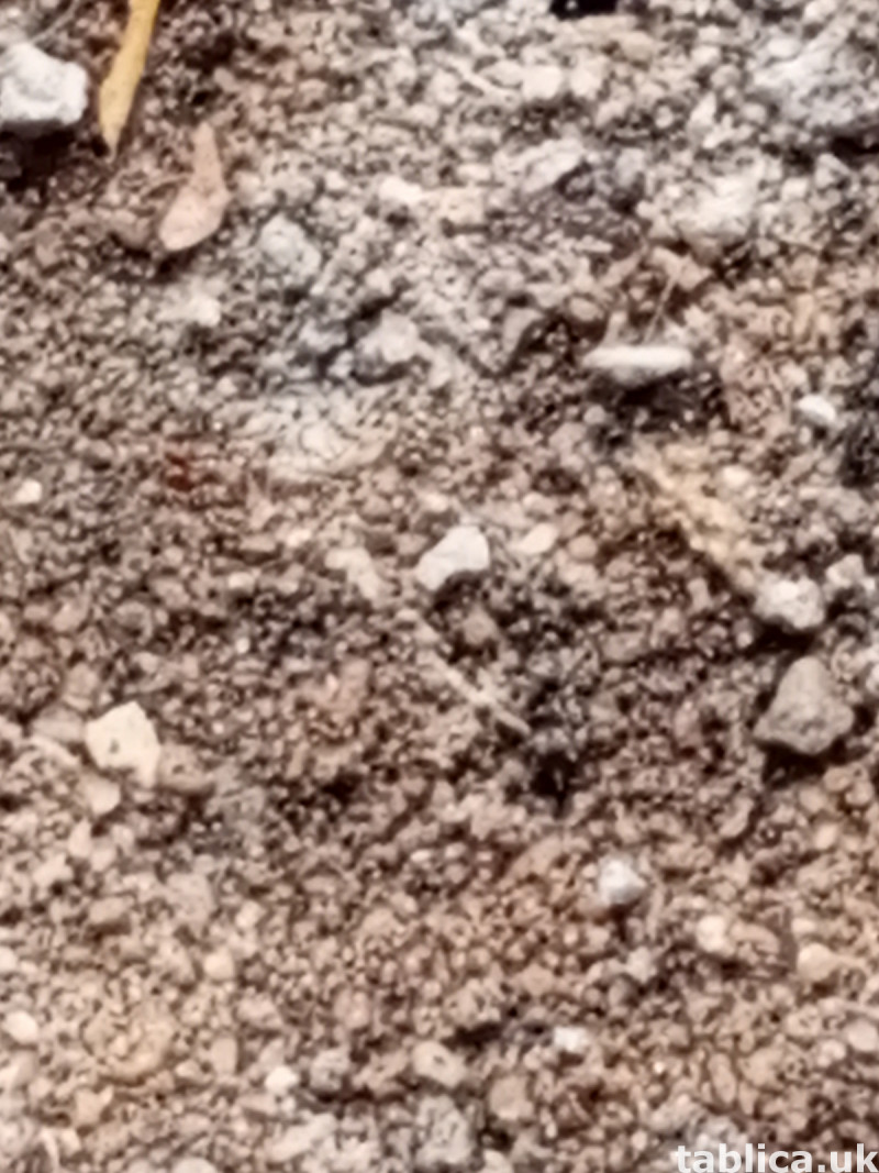 The Best Powerful SpirItual Herbalist IN Nigeria 0