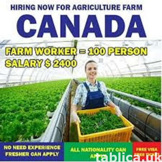 Farm Assistant (Food Processing) 0