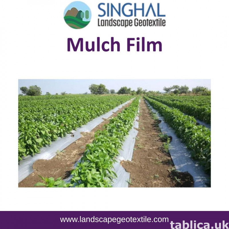 Mulch Film for Water Conservation in Agricultural Fields 0