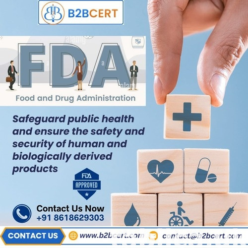 Why Choose FDA Certification Services in South Africa 0