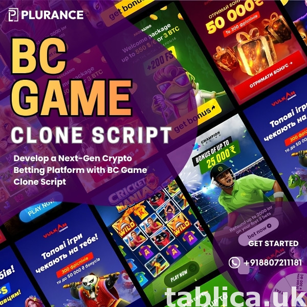 Take Your Gaming Business Online with a BC Game Clone Script 0